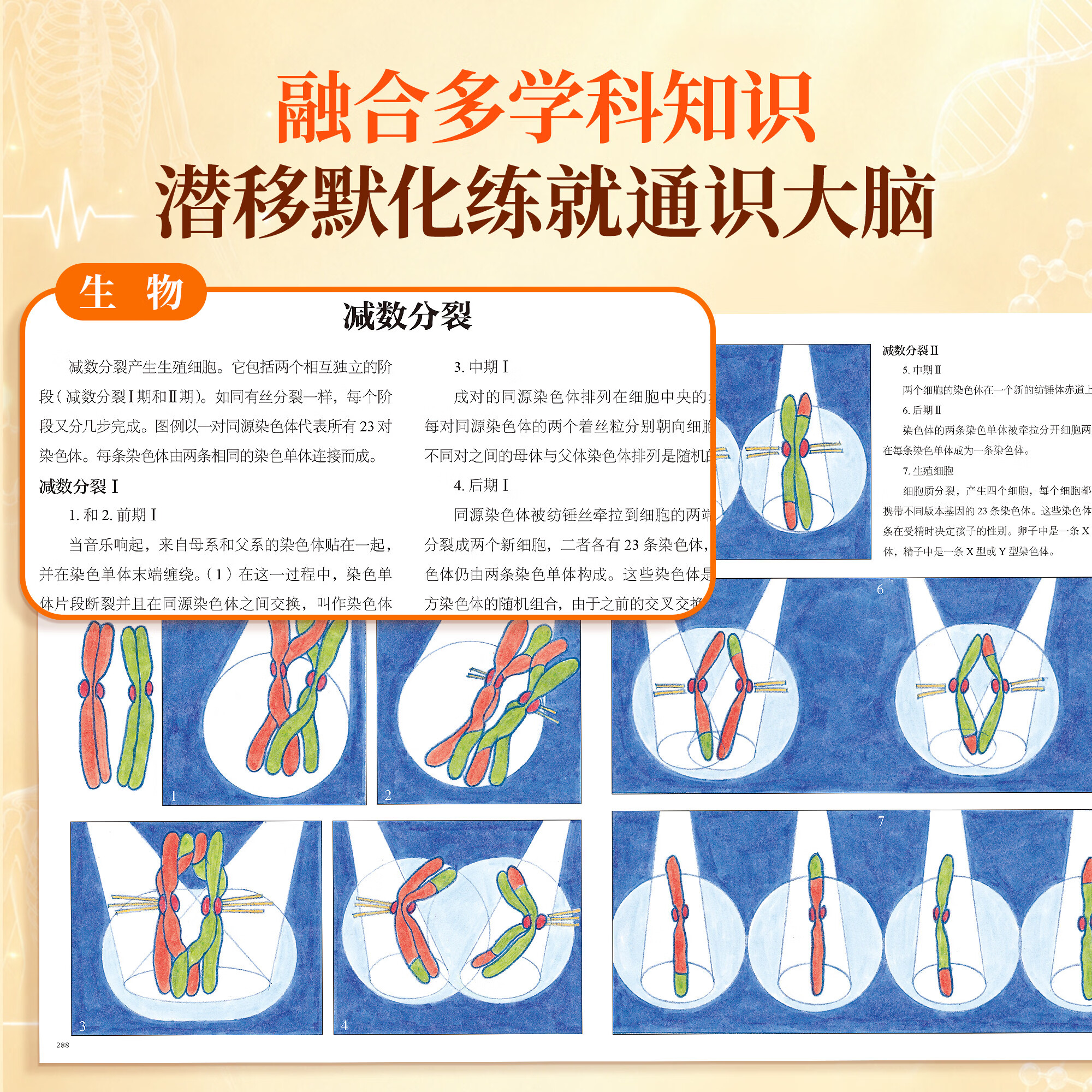 青葫芦 人体运转的秘密 少年儿童百科全书家庭医生健康营养书籍dk我们的身体的神秘肌肉器官医学免疫系统图解知识科普书课外阅读书 十万个为什么 中小学生版一二三四五六年级书籍7-12岁中国少儿科学启蒙 人