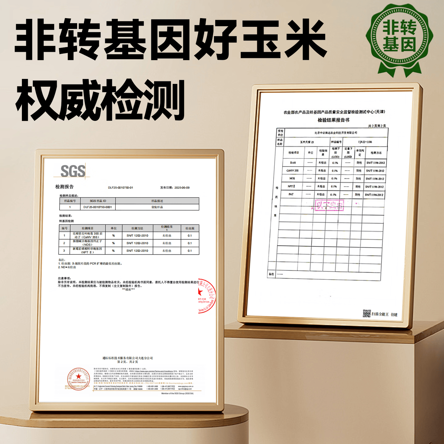 隆平 鲜食甜糯玉米棒 非转基因独立真空包装早餐杂粮低脂 【超值性价比】云南花糯玉米3.2斤