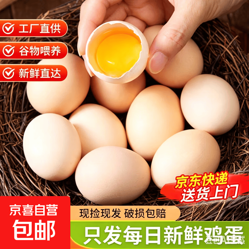 农家土鸡蛋柴鸡蛋新鲜笨鸡蛋整箱京东快递孕妇早餐单枚50g±5g 10枚*50g装