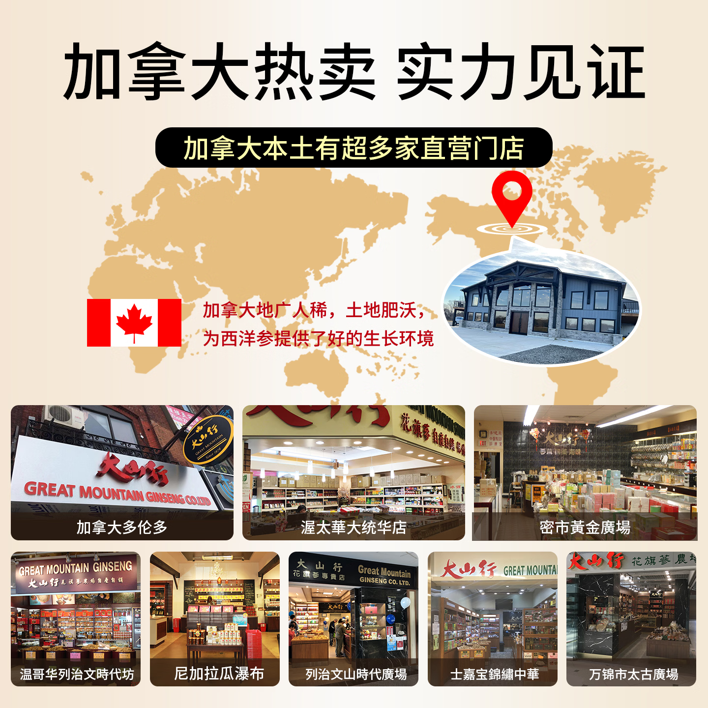大山行【特级礼盒】西洋参泡参粒头特大片礼物加拿大进口花旗参旗舰正品 AAA半野泡参 180g*1盒 【图腾礼盒】