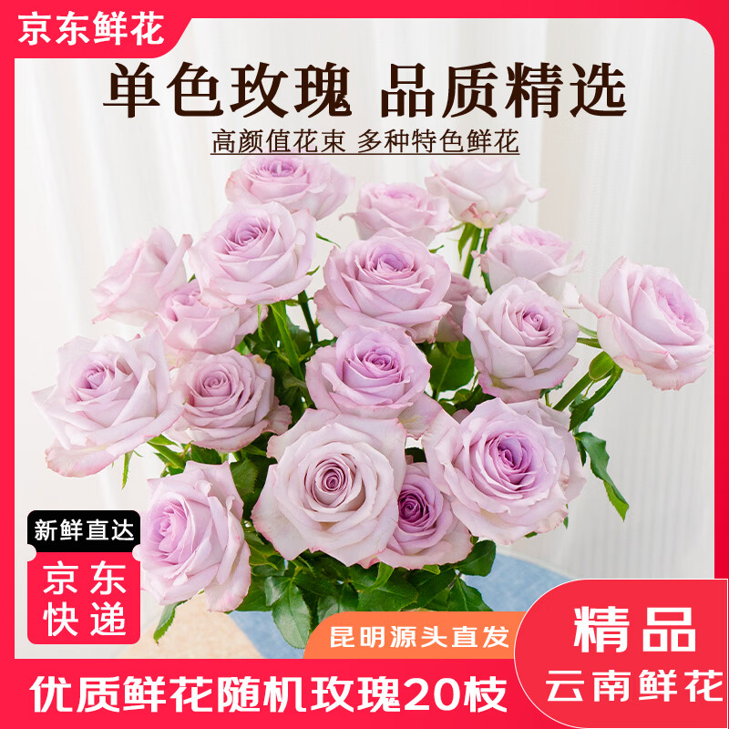 随机色玫瑰花20枝 17.9元，香槟玫瑰鲜花20支 19.8元，红色玫瑰花20枝 25.8元 - 86线报