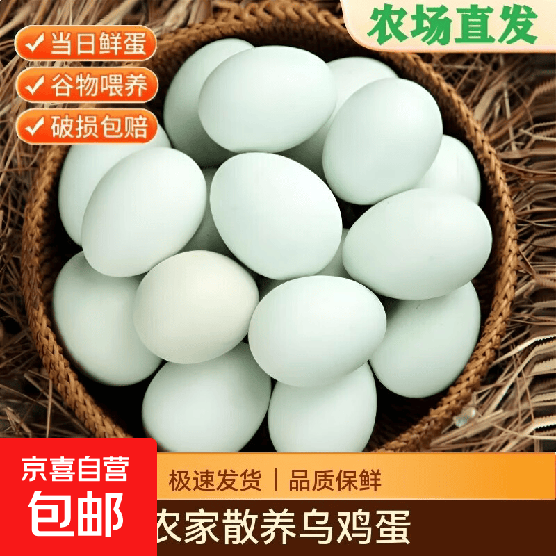 绿壳蛋农场直发/新鲜营养乌鸡蛋早餐蛋土鸡蛋现捡现发24小时发货 20枚装-农场直发 绿壳蛋单枚35-40克