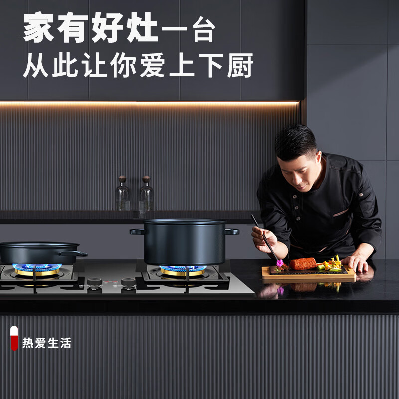 UKS德国UKS家用定时双灶猛火燃气灶5.2KW大火力嵌入式燃气灶煤气灶液化气炉具 液化气20Y