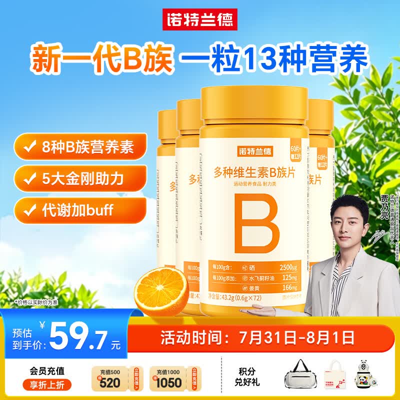 诺特兰德多种维生素B族片【72片/瓶*4】复合维b1b2b6b12烟酸叶酸牛磺酸	