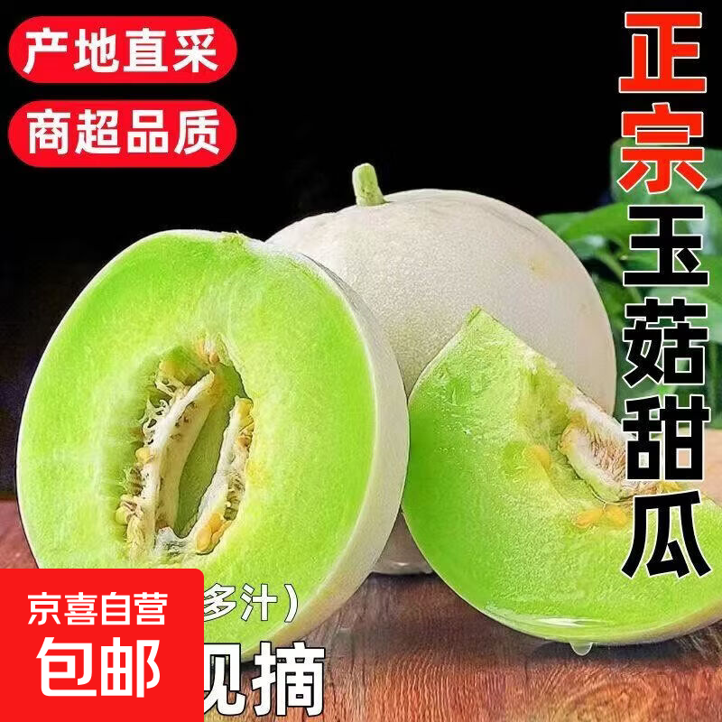 【鲜果速发】山东现采现摘冰淇淋玉菇甜瓜蜜瓜软糯多汁时令生鲜 玉菇净重4.5-5斤(2-3个)