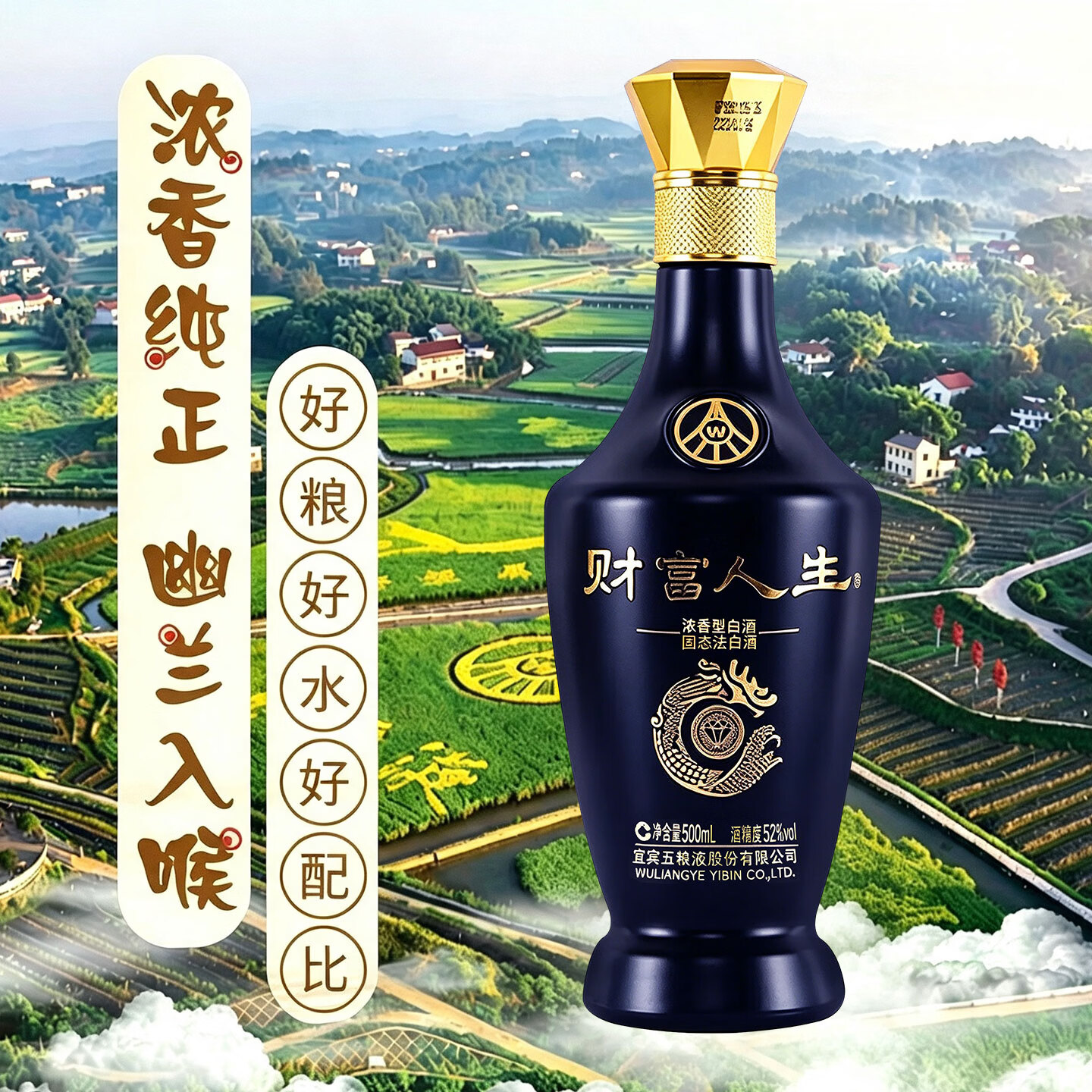 五粮浓香五粮液财富人生浓香型白酒四川名酒 52度 500mL 2瓶 两瓶装蓝钻