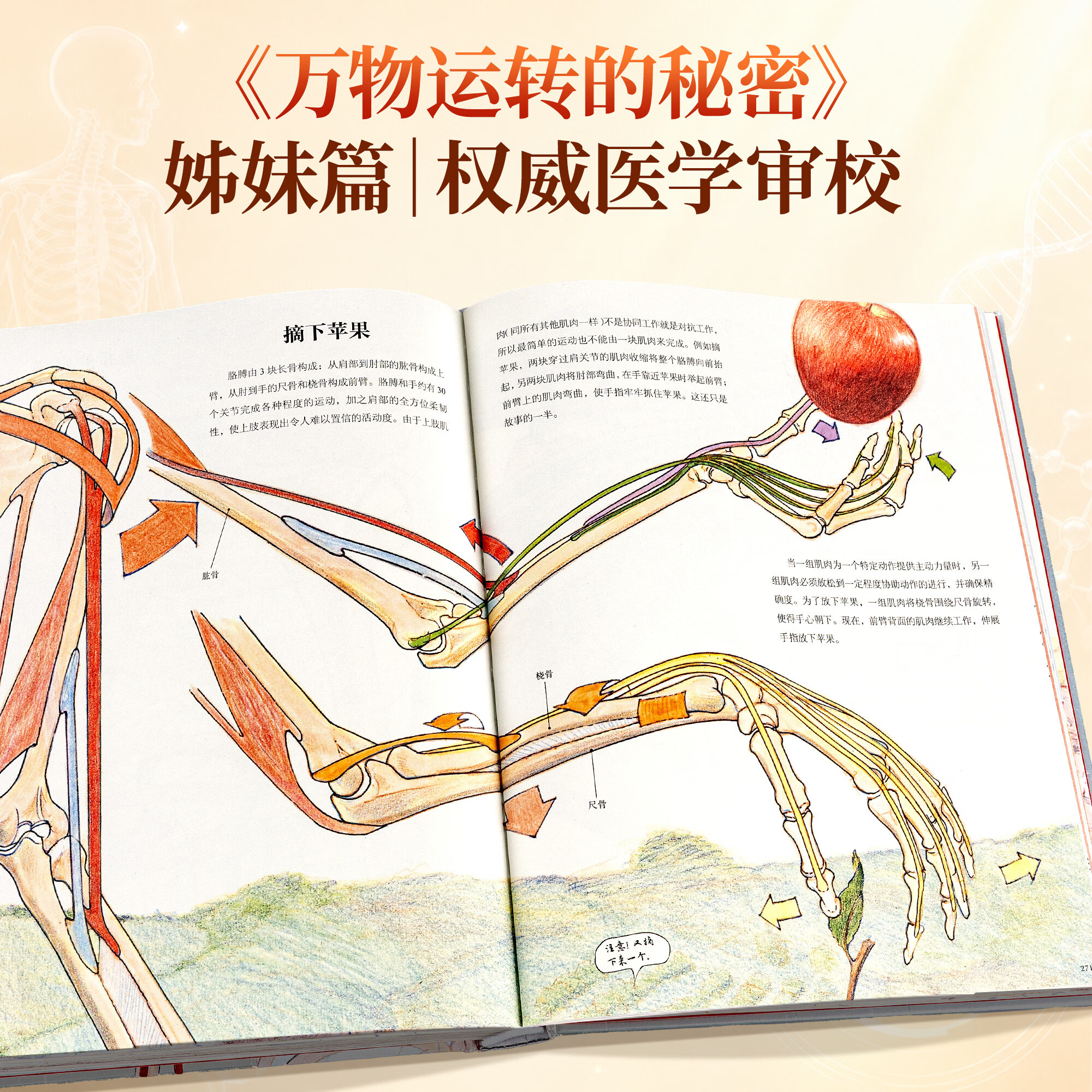 青葫芦 人体运转的秘密 少年儿童百科全书家庭医生健康营养书籍dk我们的身体的神秘肌肉器官医学免疫系统图解知识科普书课外阅读书 十万个为什么 中小学生版一二三四五六年级书籍7-12岁中国少儿科学启蒙 人