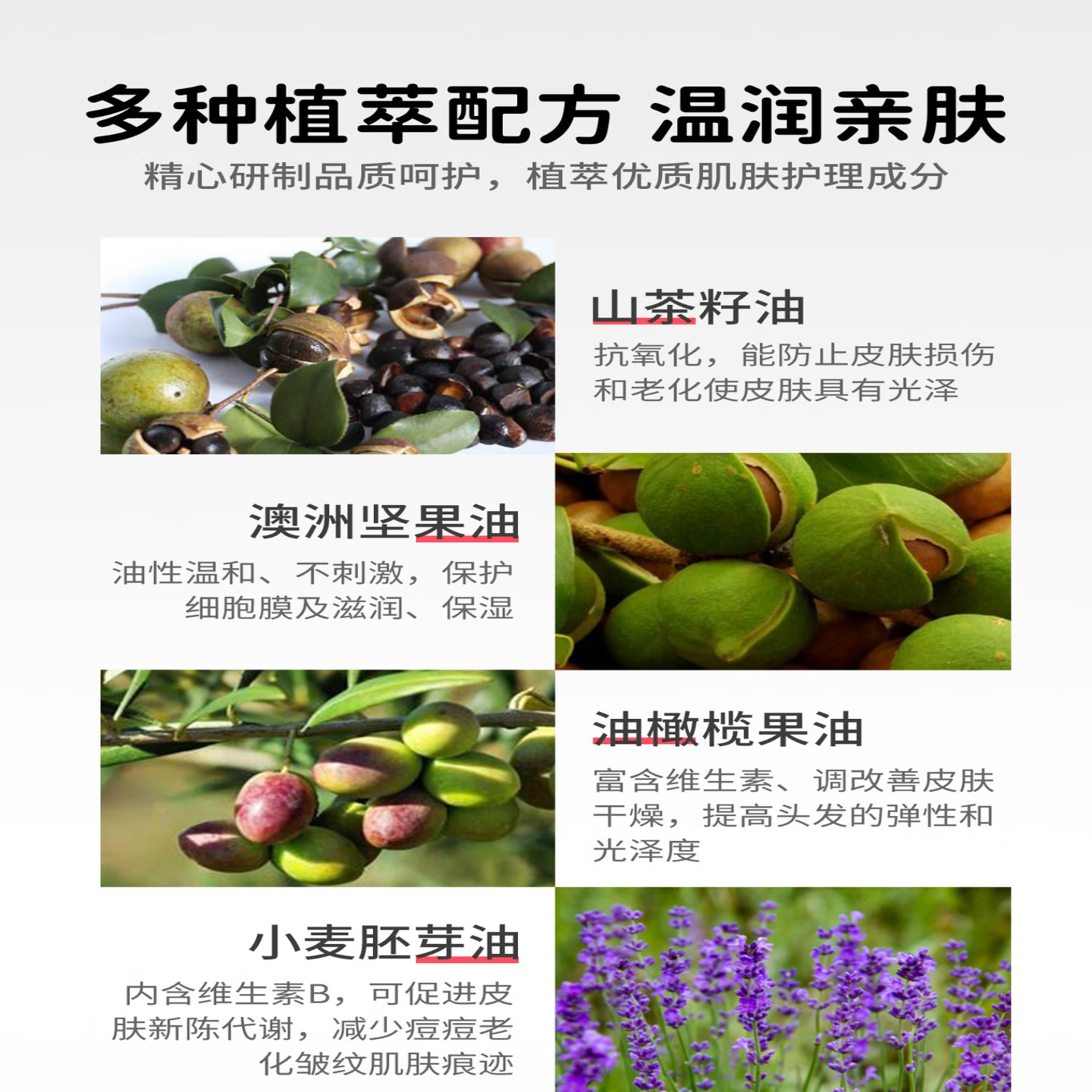 医儿乐(ERLEI)婴儿童橄榄油宝宝润肤按摩油山茶籽油爽身精油宝宝护臀油抚触油 宝宝山茶籽润肤油200ML