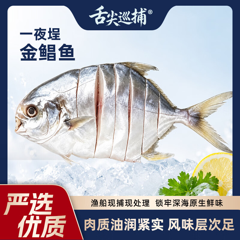 舌尖巡捕一夜埕金鲳鱼咸鱼广东阳江特色特产干货海产品海鲜新鲜腌制淡薄盐 一夜埕金鲳鱼 多人套餐6条装(1800-2100g)