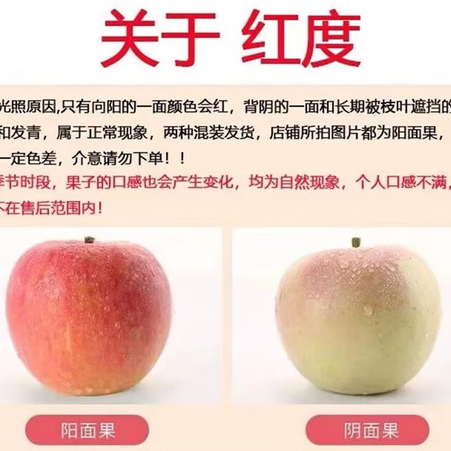 同甘园DJ送货上门山西早熟红富士苹果 24年现摘 脆甜时令丑苹果水果 净重4.5斤75-80MM