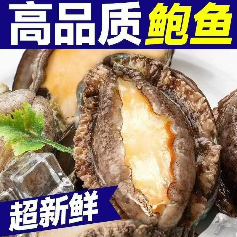三去鲍鱼肉新鲜纯肉冷冻去牙去壳内脏火锅食材500g海鲜批发商用 三去鲍鱼【13-20头】500g*1袋