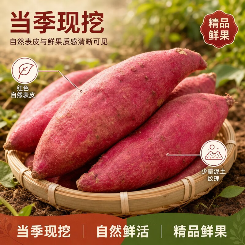 泰鲜岛26新鲜现挖沙土地陕西板栗红薯黄心番薯粉糯干甜新鲜蔬菜应季生鲜 陕西板栗红薯【精品果】 热销>5斤装【带箱】