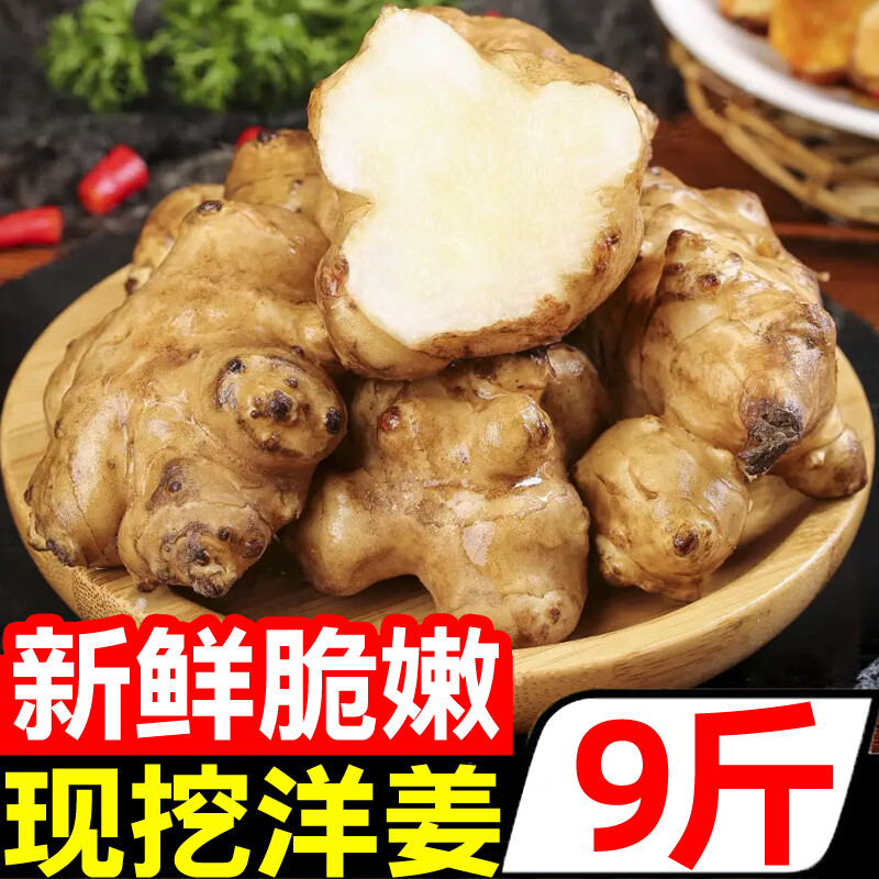 豔疅新鲜洋姜生鲜蔬菜姜片不辣农家自种酱腌菜泡菜种姜菊芋采挖泡咸菜 净重5斤【约25-75个】新鲜饱满