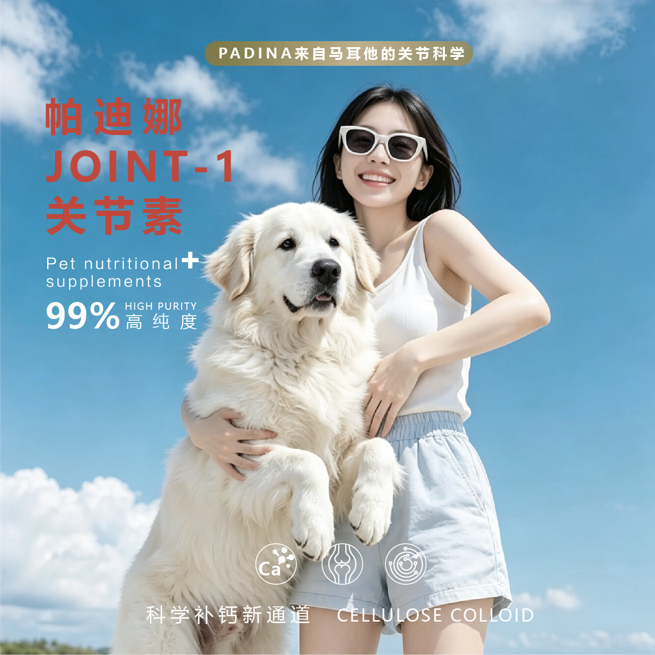 嗨多宝犬用软骨素宠物营养补剂关节素壮骨补钙微量元素鲨鱼软骨素片剂 120粒*1罐