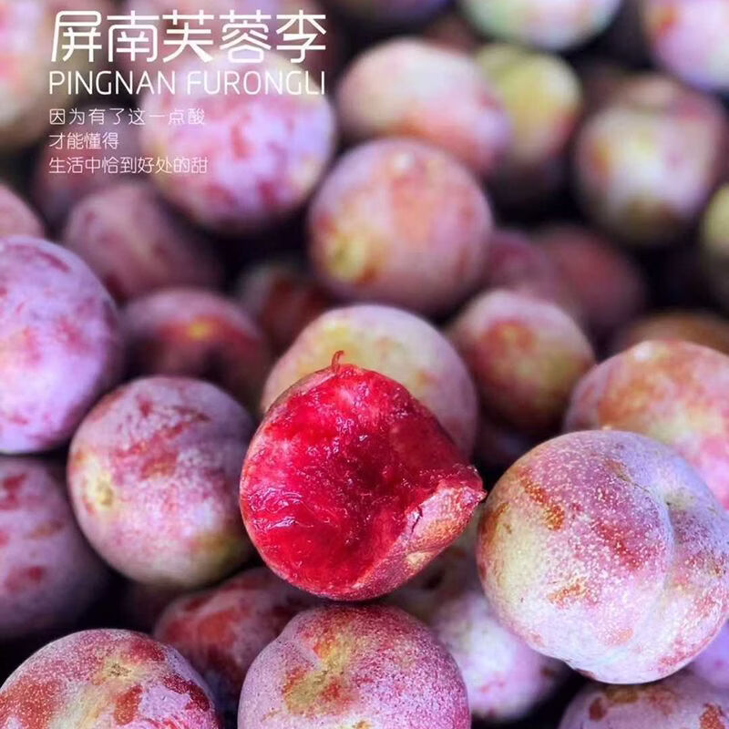 鲜珥家【顺丰发货】古田正宗红心芙蓉李大果4斤装当天现摘现发产地直发 古田芙蓉李大果 单果50-70g【4斤彩箱装】