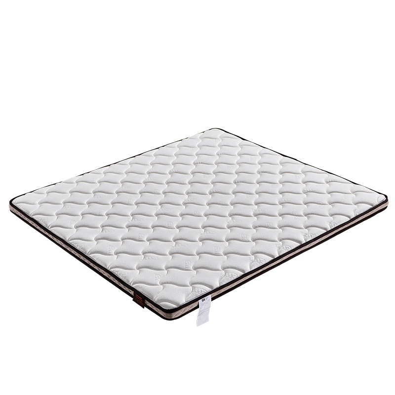 Sweetnight 椰棕床垫偏硬护脊椎 榻榻米床垫子 棕榈棕垫薄款老人小孩硬垫子 10cm 1.2米*1.9米