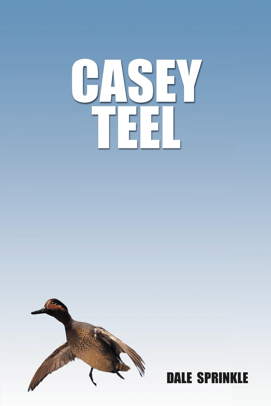 【预售 按需印刷】casey teel