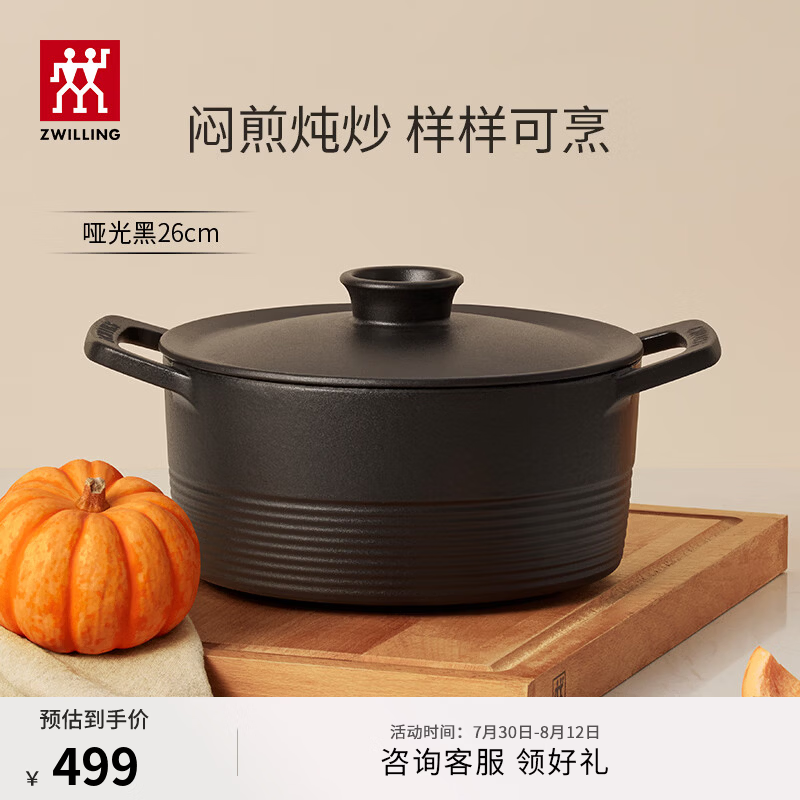 双立人（ZWILLING）珐琅锅汤锅炖锅Dragon龙铸铁锅煲汤锅炖肉锅锅具 哑光黑（适合4-6人家庭） 26cm