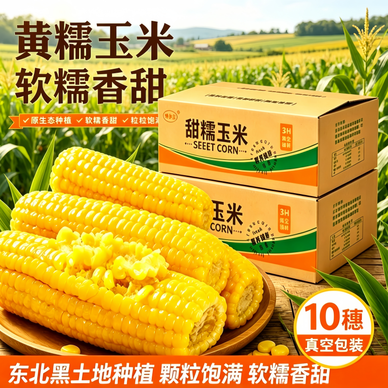 馋乡玉当季头茬东北黄糯玉米棒10支真空包装低脂黄糯大棒甜软糯现摘代餐 东北黄糯玉米6根*1250g