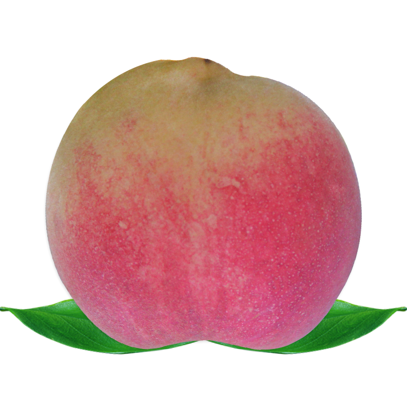 掌握市场趋势：最新价格走势分析|JD桃李杏价格走势