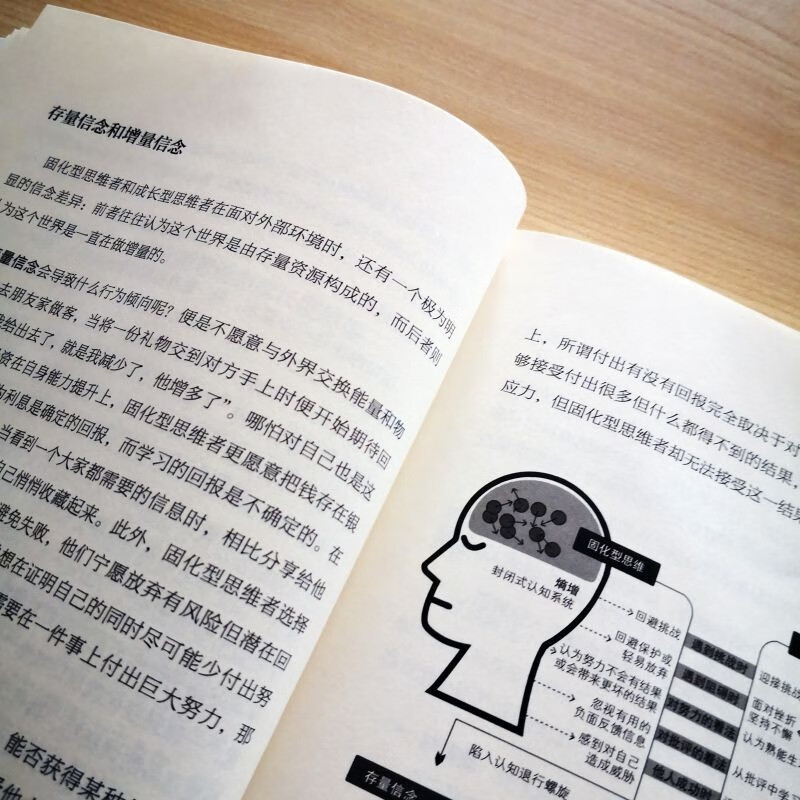 从内耗到心流：复杂时代下的熵减行动指南详情图