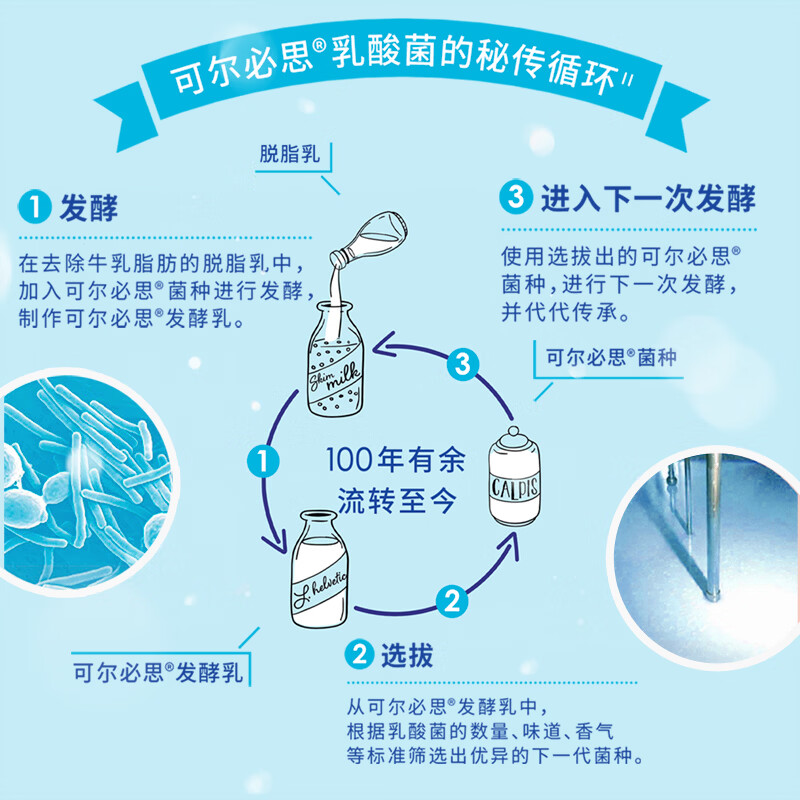 可尔必思0脂肪乳酸菌风味饮料餐后清爽解腻火锅饮料官方正品250ml 250ml*24盒【整箱】