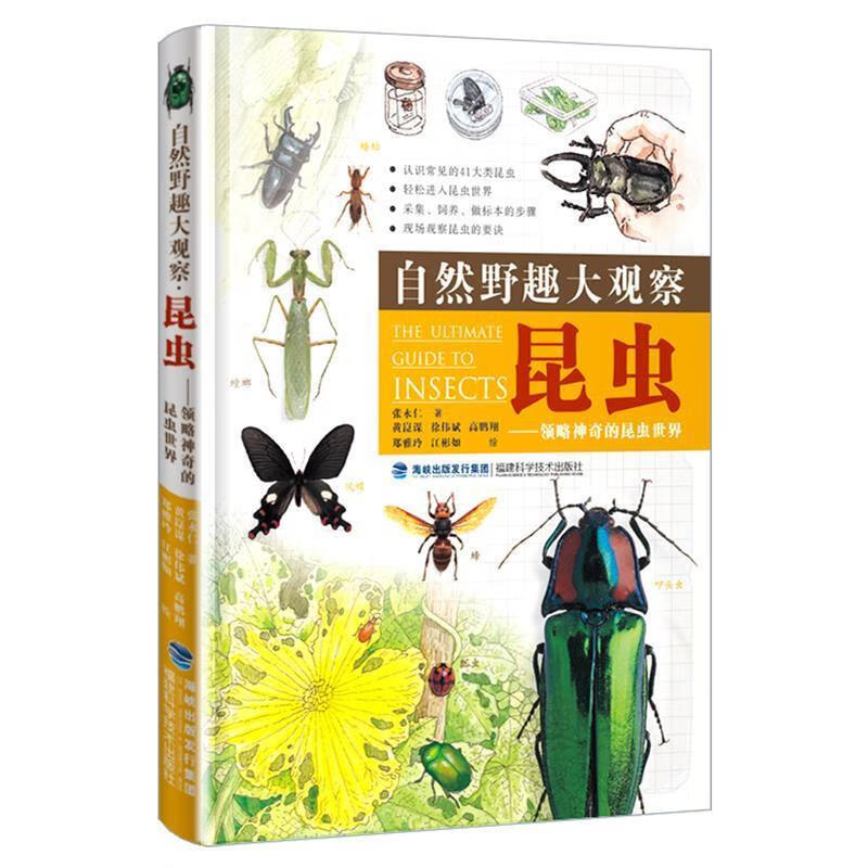 自然野趣大观察 昆虫