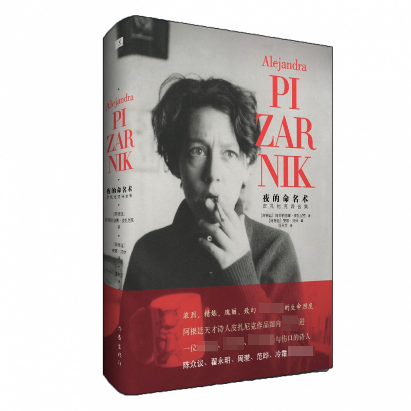 夜的命名术 皮扎尼克诗合集 阿根廷 诗 扎尼克诗集 引进 西语诗歌人气译者汪天艾倾情迻译名家力荐