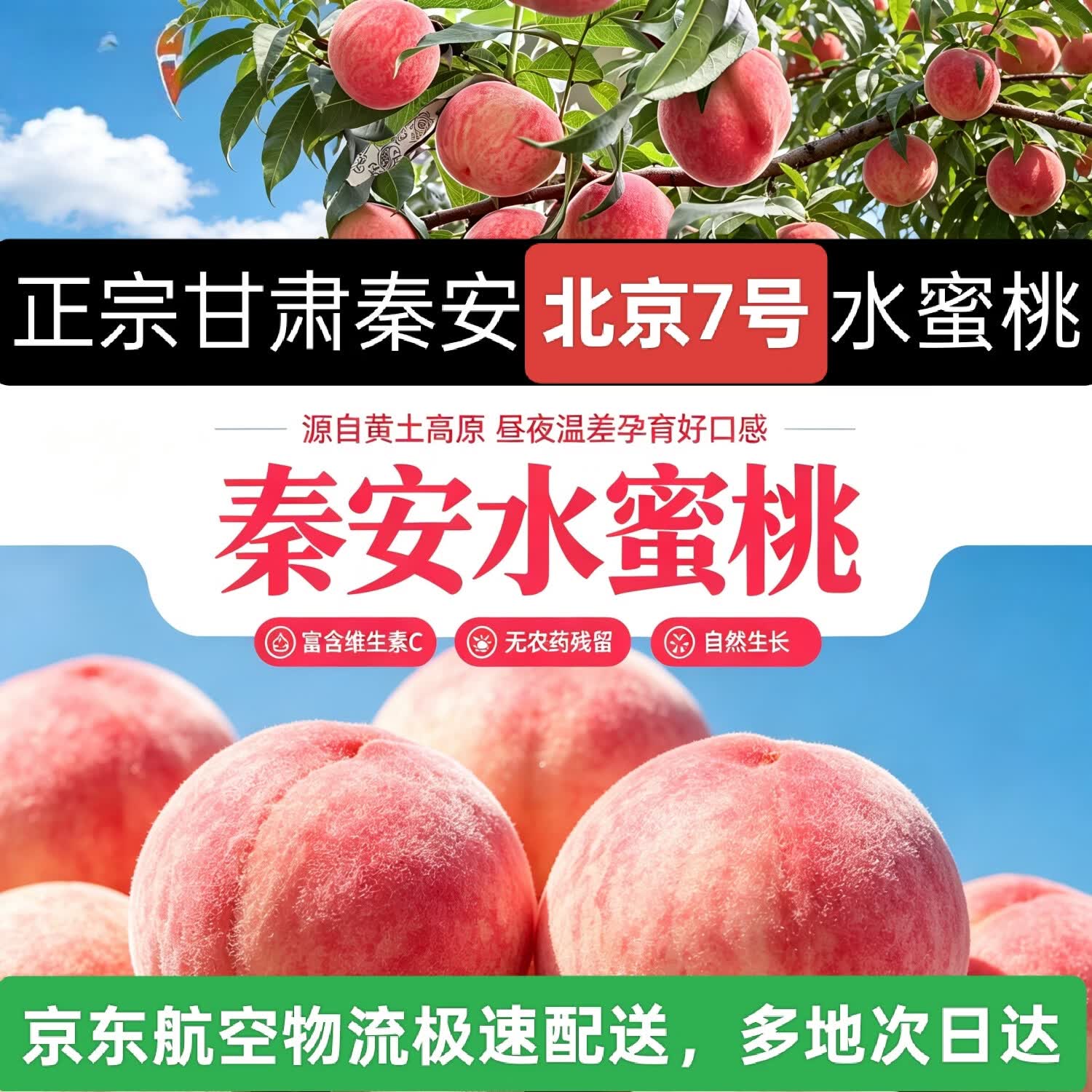 甘肃天水正宗秦安北京7号水蜜桃正宗新鲜桃子礼盒多地次日达 8颗精品特大果王礼盒包装整箱单果6-7两