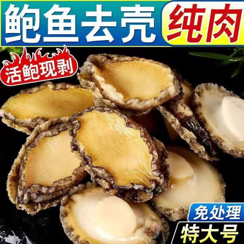 三去鲍鱼肉新鲜纯肉冷冻去牙去壳内脏火锅食材500g海鲜批发商用 三去鲍鱼【13-20头】500g*1袋