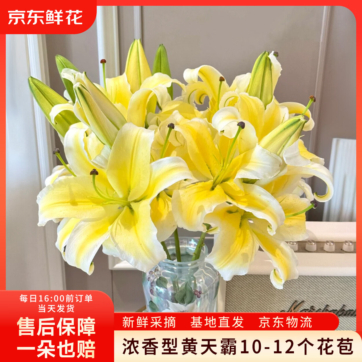 京东鲜花黄天霸百合鲜切花浓香型室内软装水培插花昆明基地批发源头直发