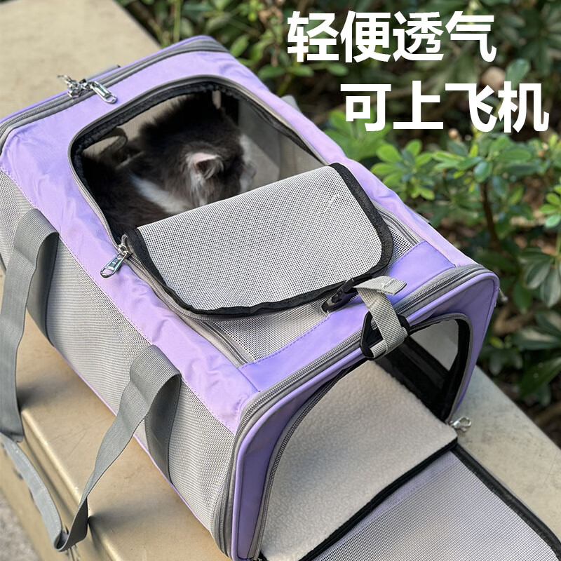 COCSè�������Я����������������б����۵�è��Сè͸���ɽ����� ������