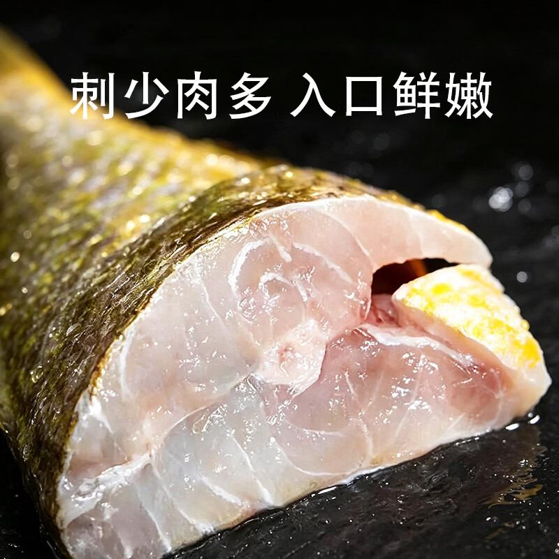 森鲜状元宁德地标海捕大黄鱼整条鲜冻黄花鱼新鲜深海鱼冷冻生鲜速冻水产鱼 4条装(共2斤~2.4斤)宁德黄鱼