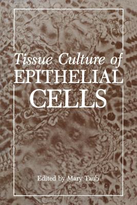 epithelial tissue图片