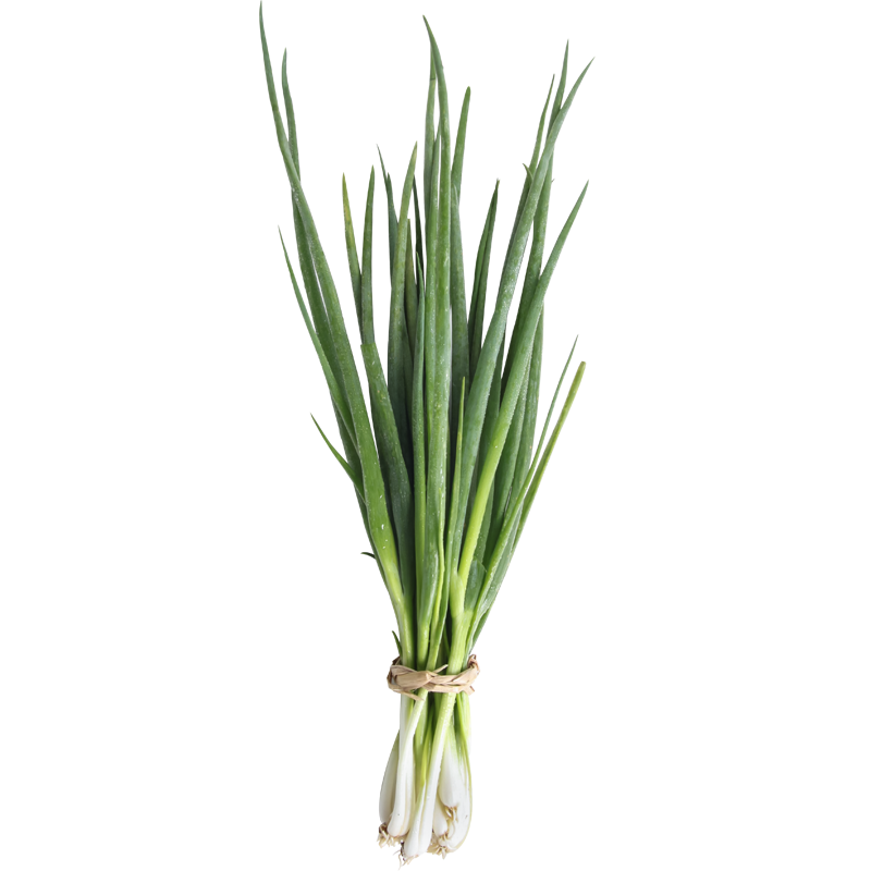 壽禾 四季小蔥種子香蔥籽山東農(nóng)家章大蔥盆栽水培蔥夏季播蔬菜陽臺 農(nóng)家小香蔥盆栽套餐/約可種10次