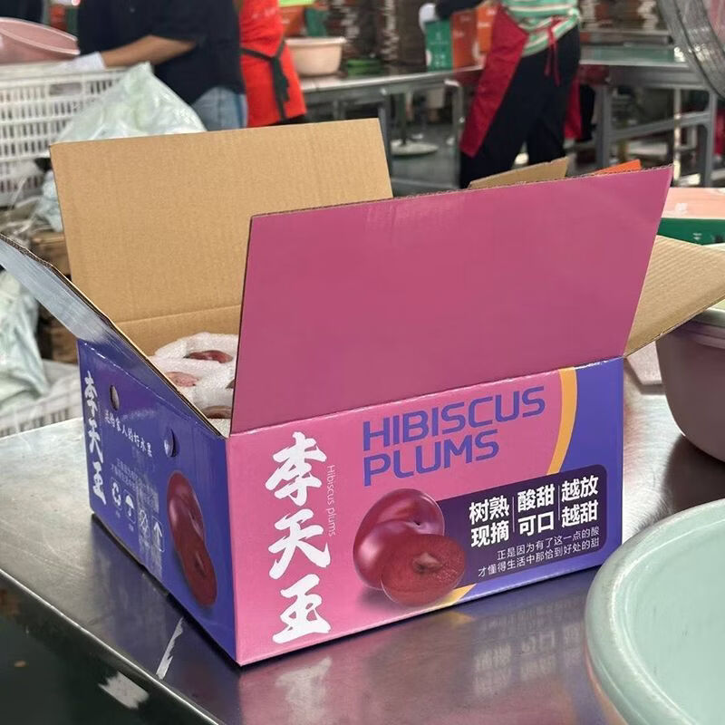 鲜珥家【顺丰发货】古田正宗红心芙蓉李大果4斤装当天现摘现发产地直发 古田芙蓉李大果 单果50-70g【4斤彩箱装】