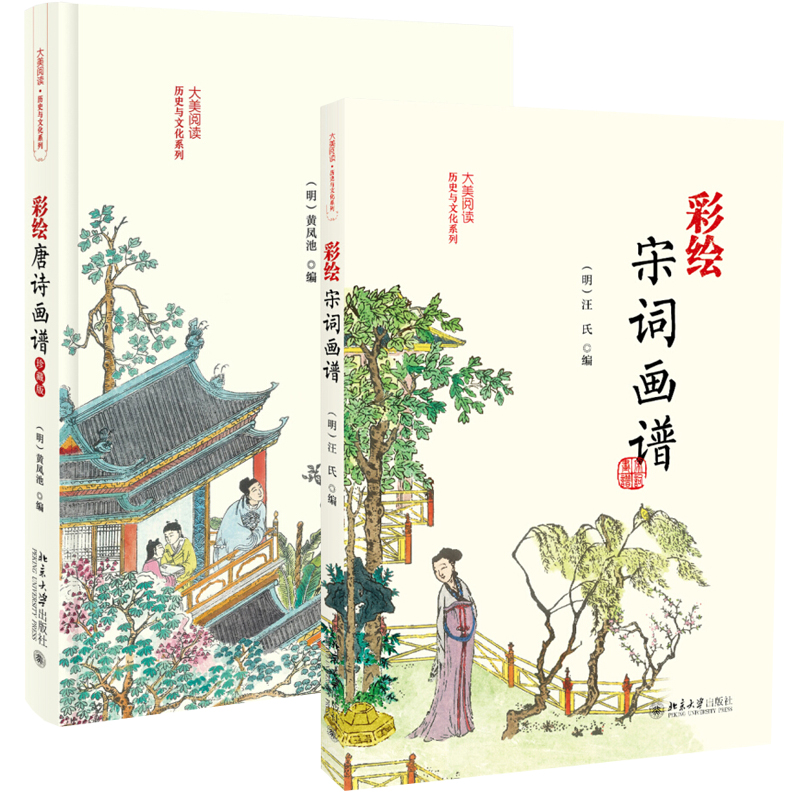 全2册 彩绘宋词画谱+彩绘唐诗画谱 珍藏版 大美阅读历史与文化系列 明代书法绘画审美意趣 徽派版画