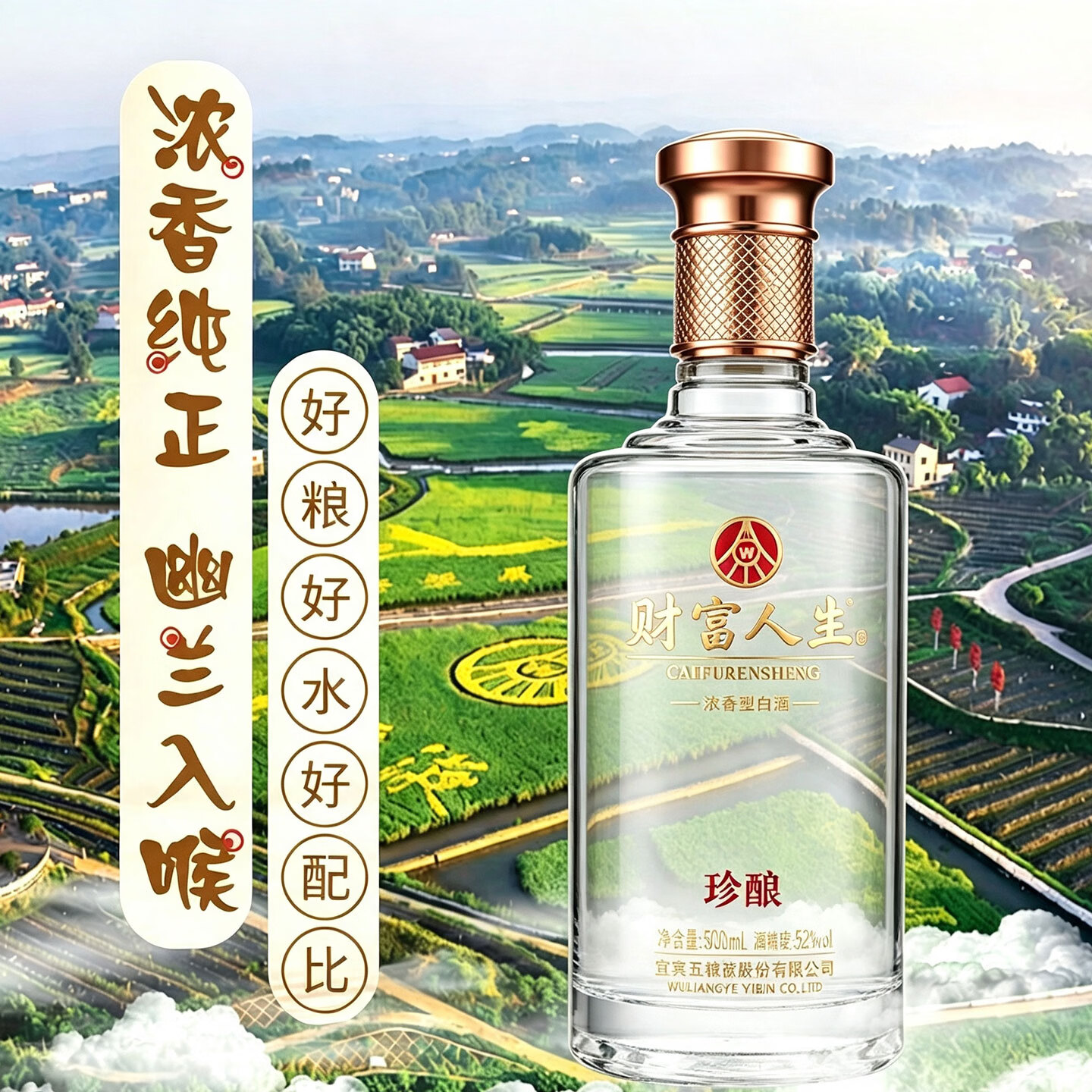 五粮浓香五粮液财富人生浓香型白酒四川名酒 52度 500mL 2瓶 两瓶装珍酿白