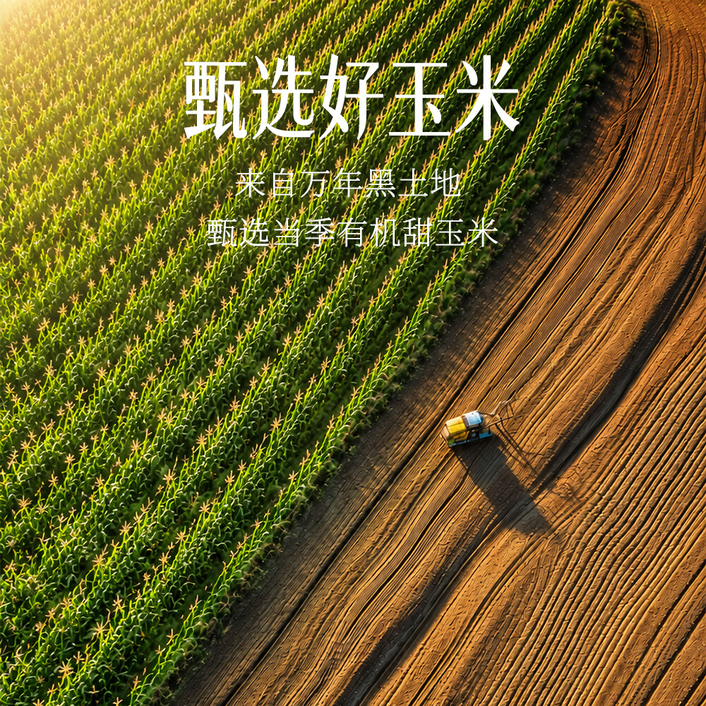 纯粒有机玉米汁300g*12瓶整箱 鲜榨0添加0脂肪低糖早餐代餐果蔬汁饮料 【日常饮用】有机玉米汁300g*12瓶