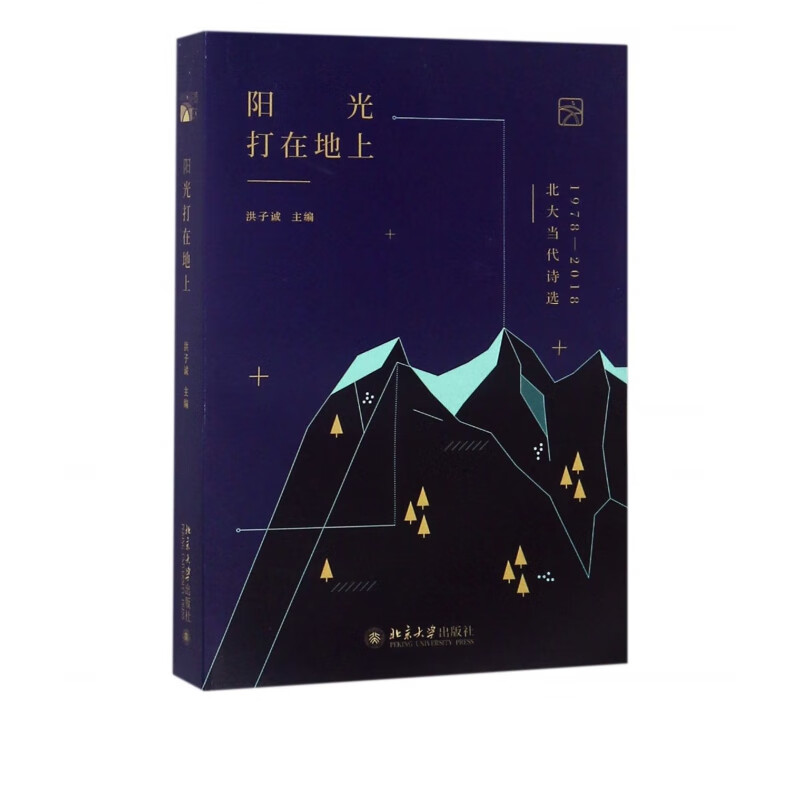 阳光打在地上(北大当代诗选1978-2018)