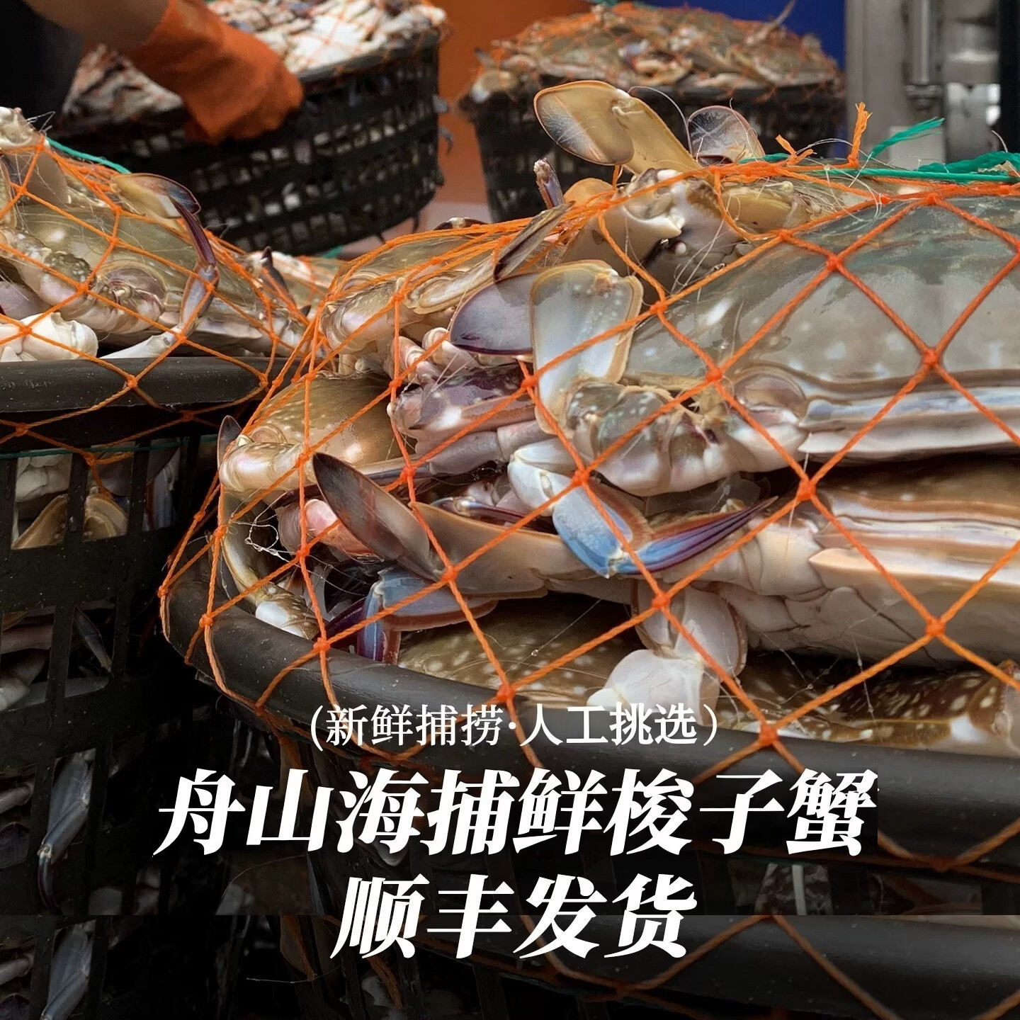 【保鲜不保活】山姆东东农场 梭子蟹鲜活大螃蟹舟山飞蟹 中秋送礼 精选梭子蟹3斤【5-7两/只,约4-7只】