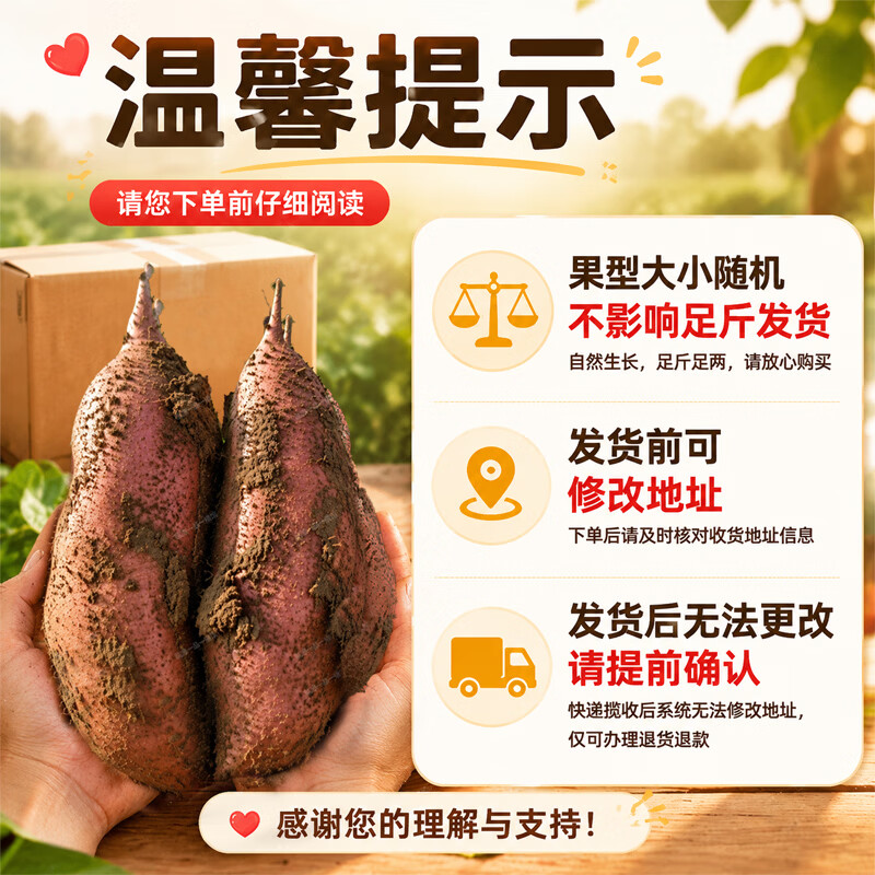享农伯龙薯九号番薯黄心粉糯板栗红薯蜜薯地瓜【当季新薯】时令根茎蔬菜 龙薯九号-净重5斤 【单果100g起】