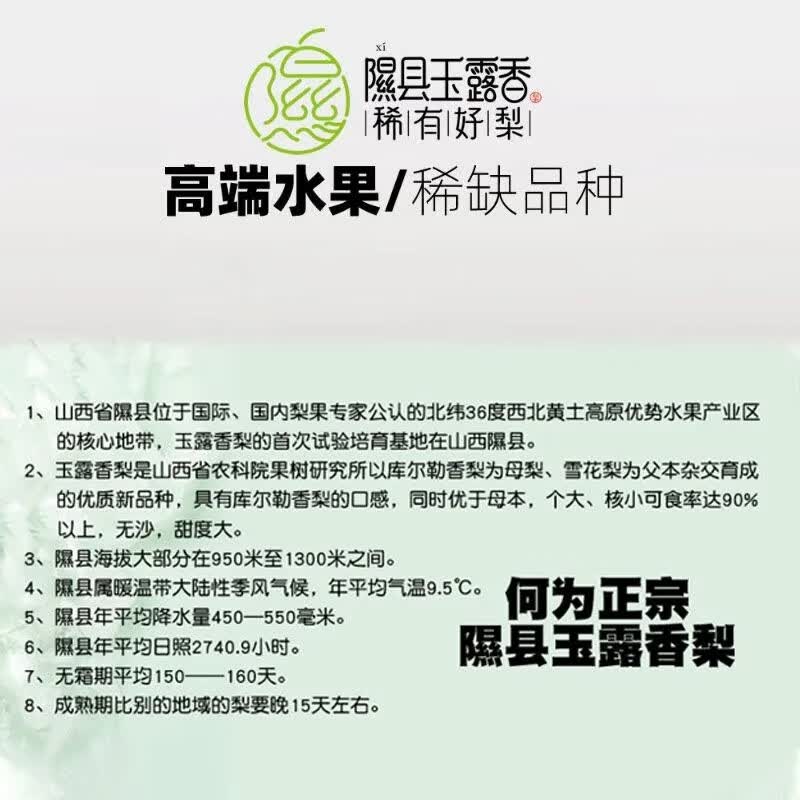 译优农正宗山西玉露香梨隰县香梨新鲜梨子脆甜薄皮大果应季水果礼盒 18枚中果超值装丨单果210-260g
