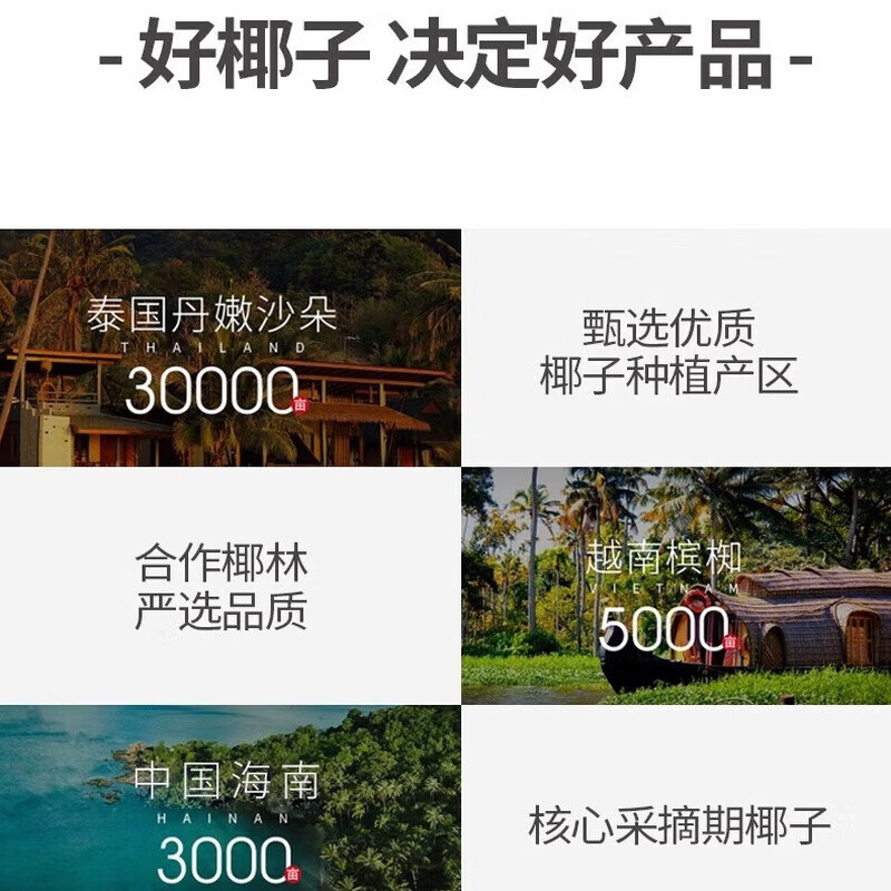 菲诺厚椰乳带盖盒装生椰拿铁椰奶椰浆椰子汁咖啡店商用厚椰乳咖啡专用 【加旋盖】燕麦奶 1L*2盒