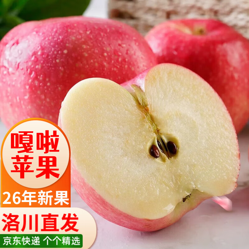 洛川苹果陕西嘎啦苹果2026年新果头茬新鲜采摘现摘现发新鲜苹果水果 15个70mm礼盒装 严选果