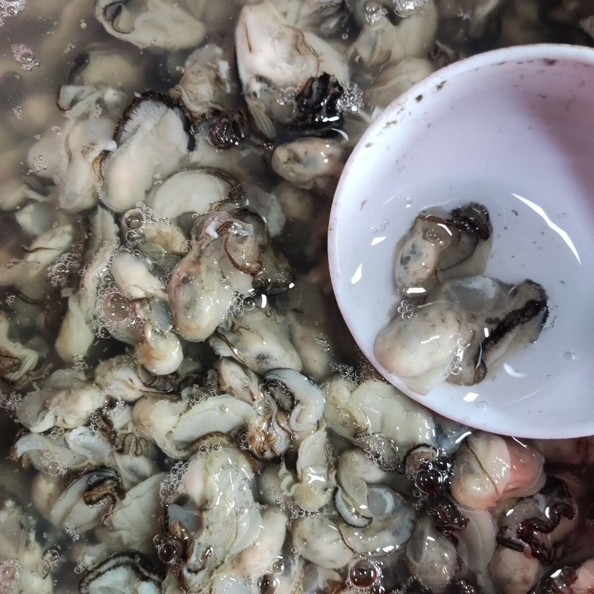 【快递冷运】福建小海蛎肉鲜活现剥去壳牡蛎海鲜海蛎子鲜活生蚝肉 2000g--每斤包含150克左右原浆液