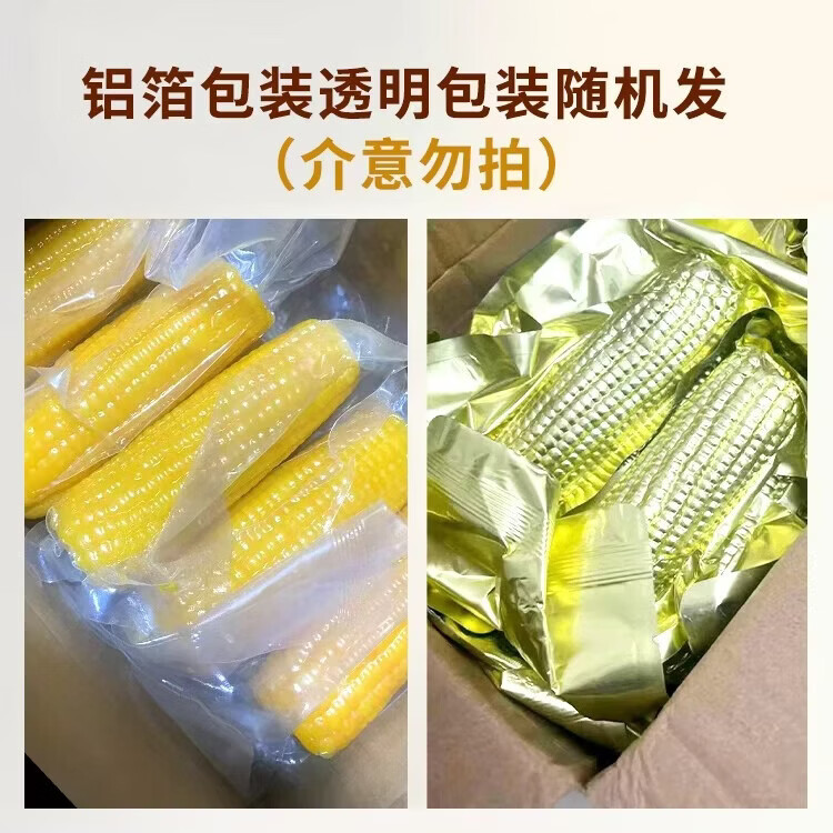 佟创东北黄糯玉米棒新鲜甜糯玉米棒代餐轻食真空包装黏粘玉米健康粗粮 糯玉米约12-14棒 净重5斤【囤货优选】