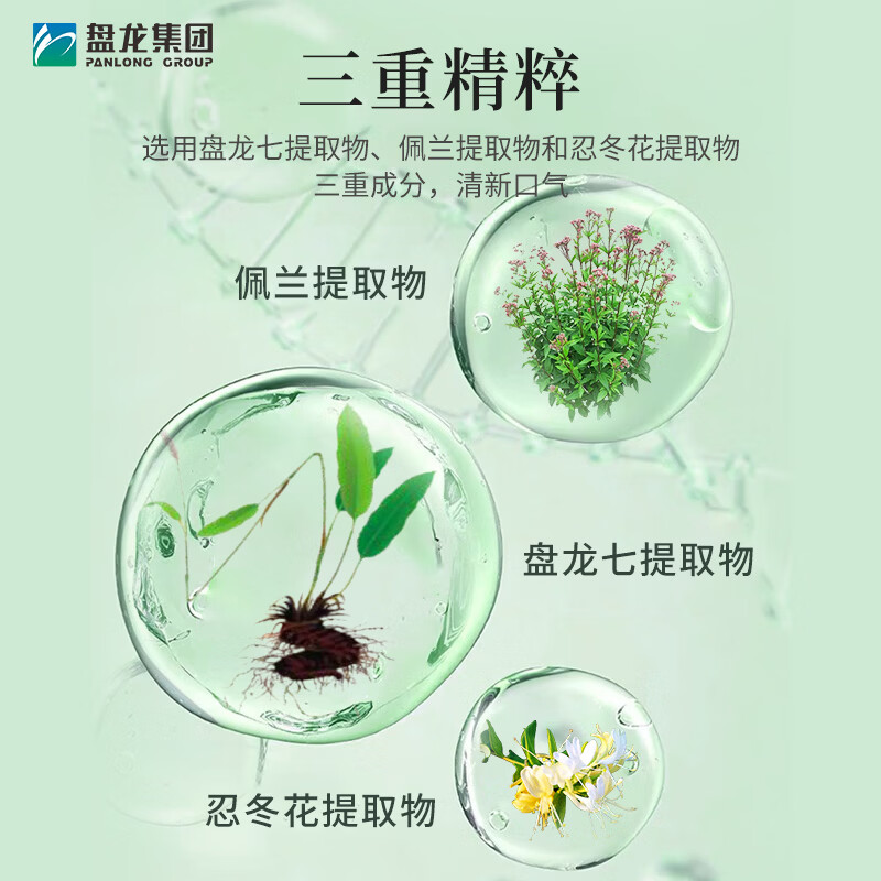 盘龙药业盘龙七牙膏薄荷清爽型囤货装240g清新口气无氟配方官方正品 净重 240g(2支)