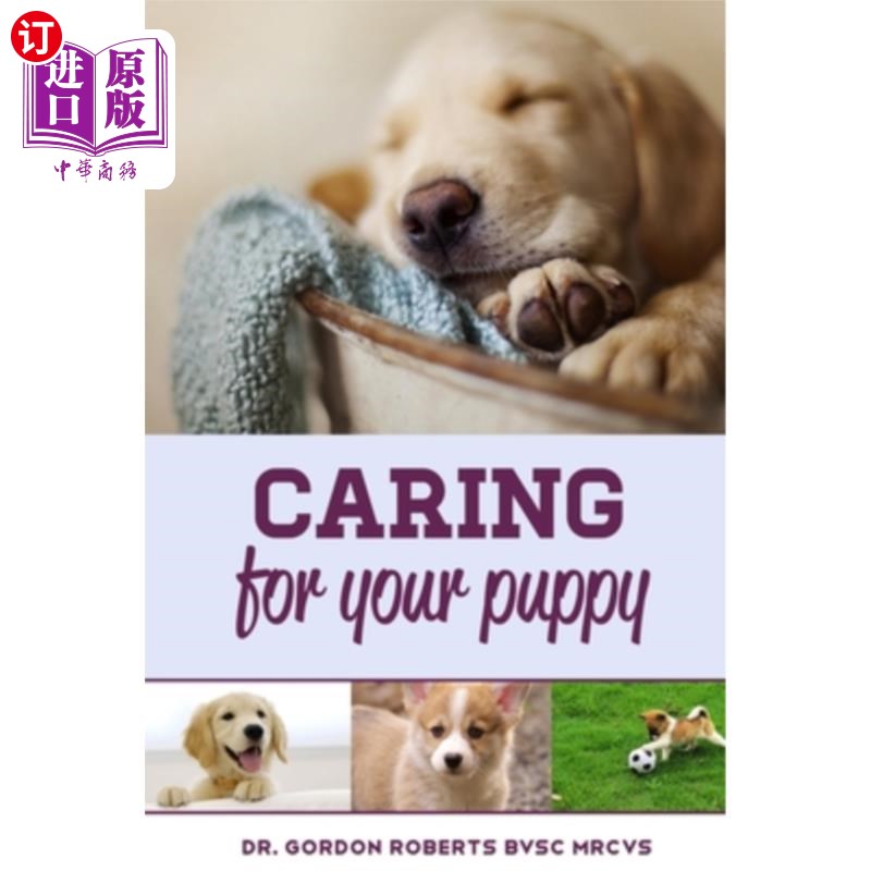 how to care for your puppy and everything you n 照顾你的小狗