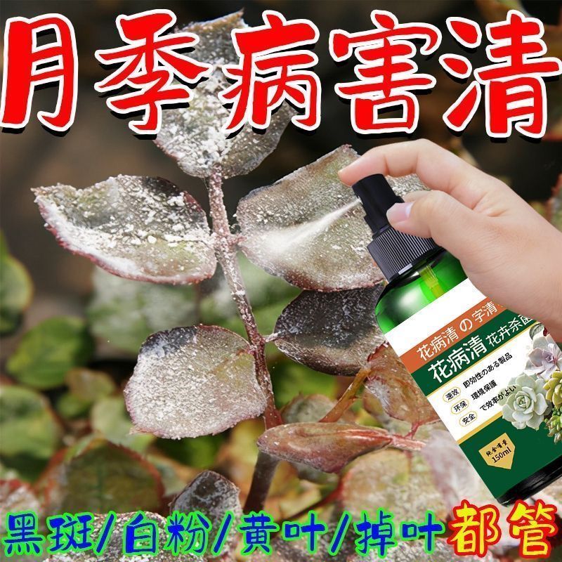 植物营养液通用型花肥料发财树绿萝水培富贵竹叶面喷施盆栽免稀释 养花专用花病清 三瓶装【450ml】
